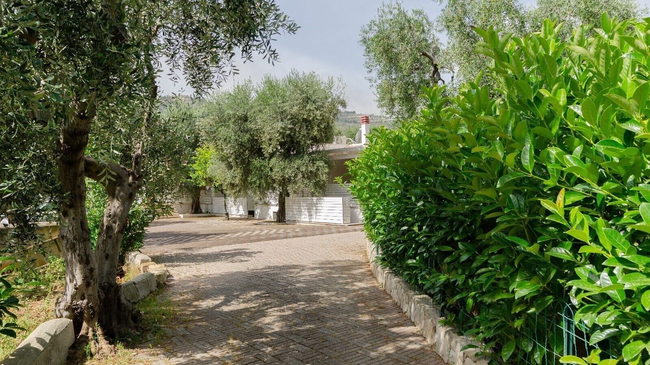 Photo of Outdoor in Mattinata