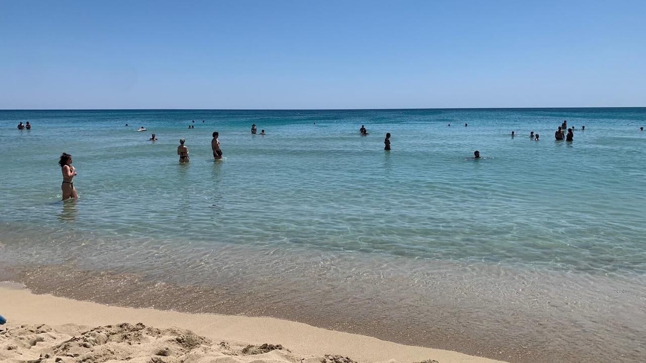 Photo of Others in Lido Marini