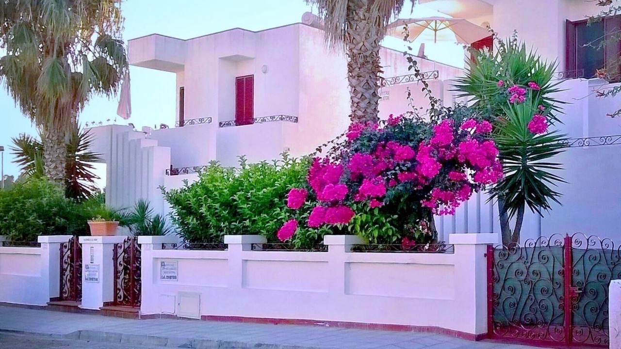 Photo of Outdoor in Lido Marini