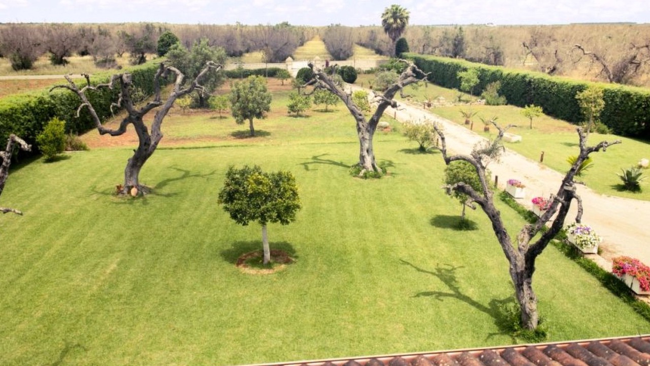 Photo of Outdoor in Leverano