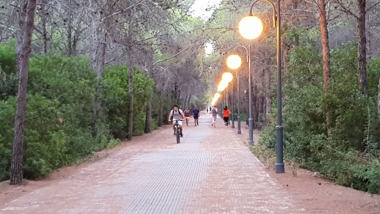 Photo of Others in Policoro