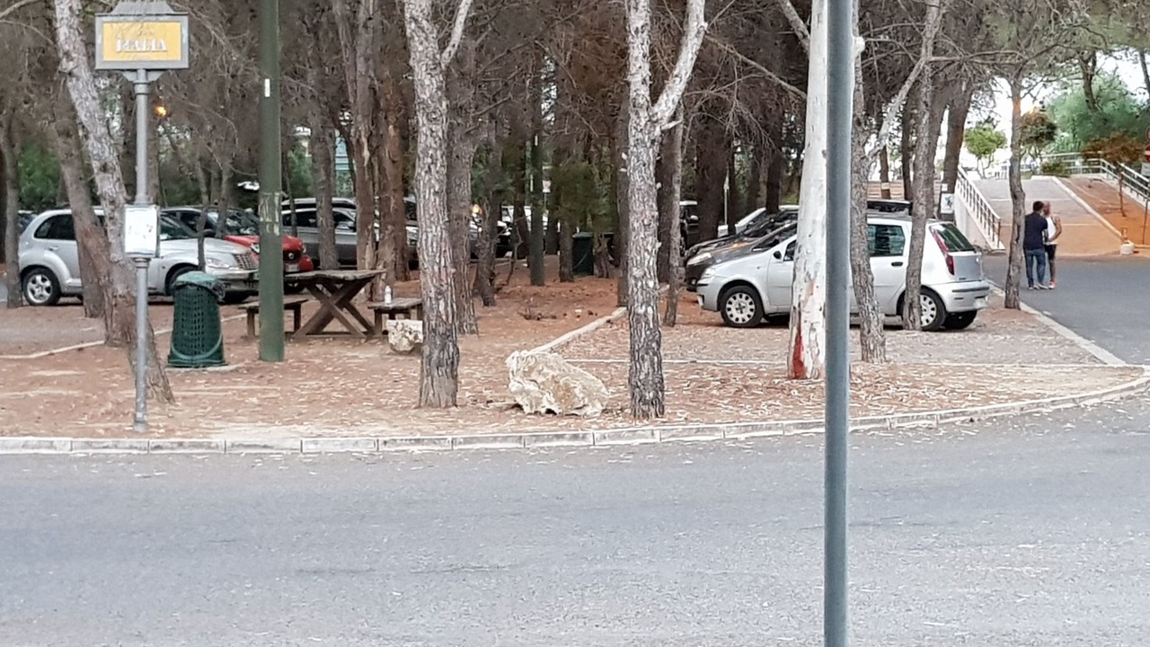 Photo of Others in Policoro