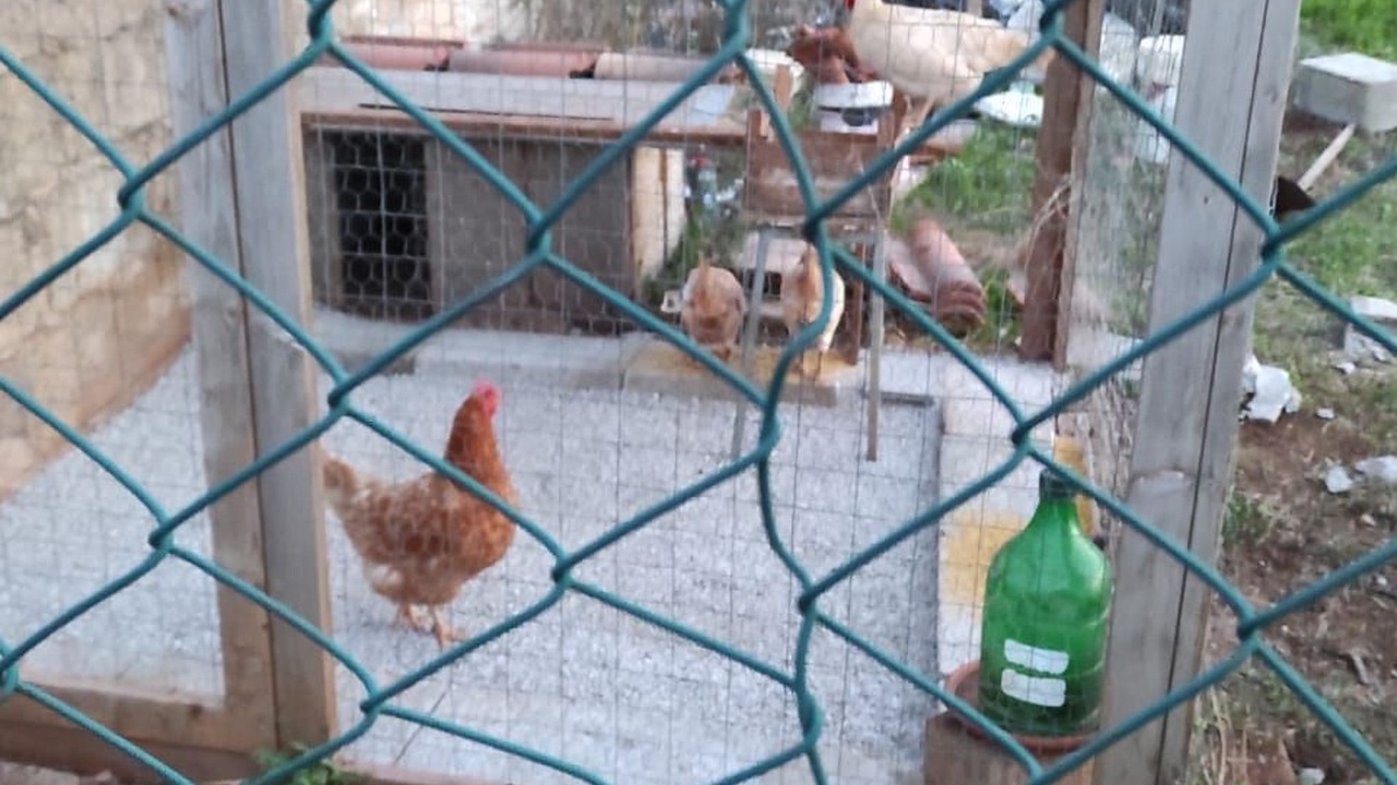 Photo of Others in Casarano