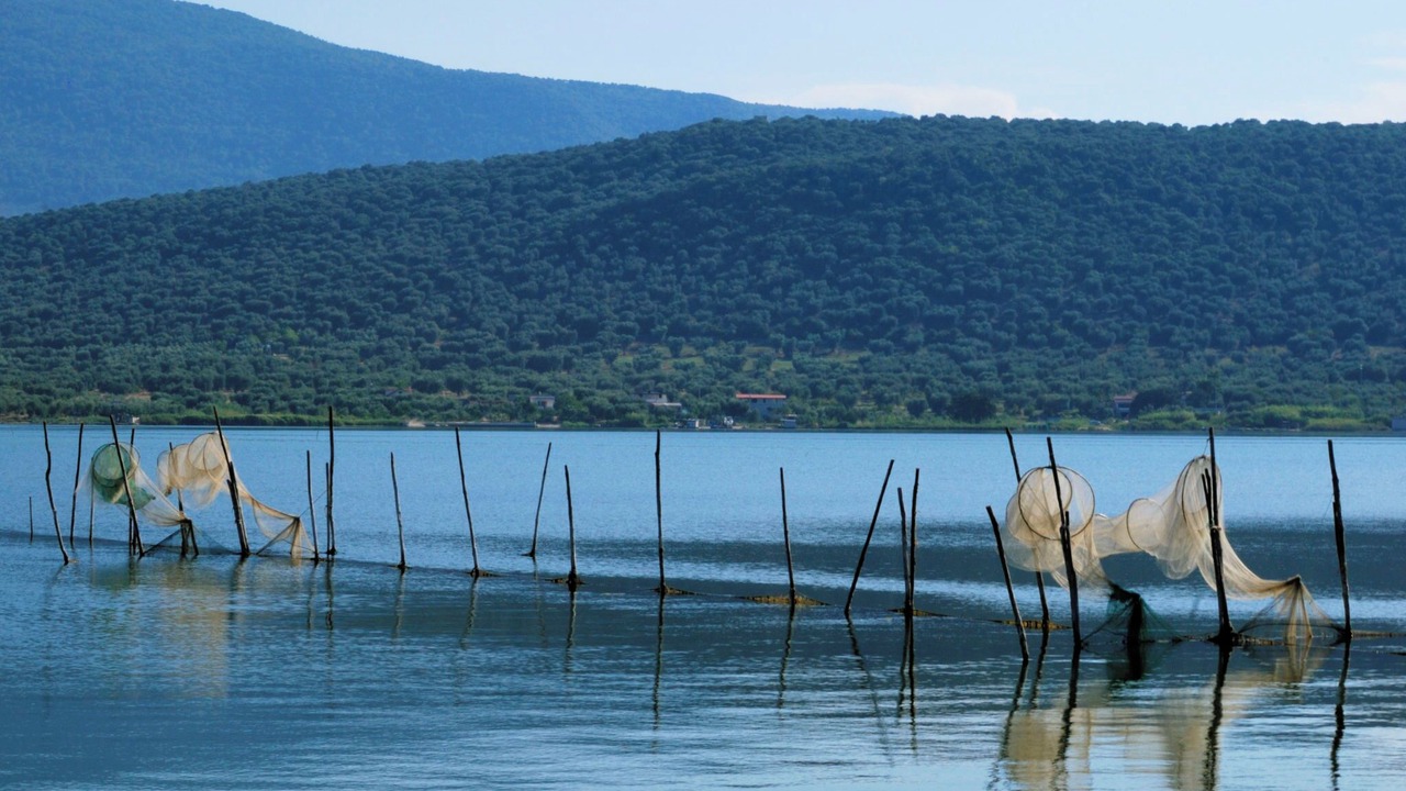 Photo of Others in Cagnano Varano