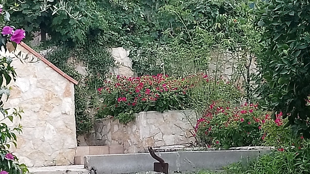 Photo of Others in Peschici