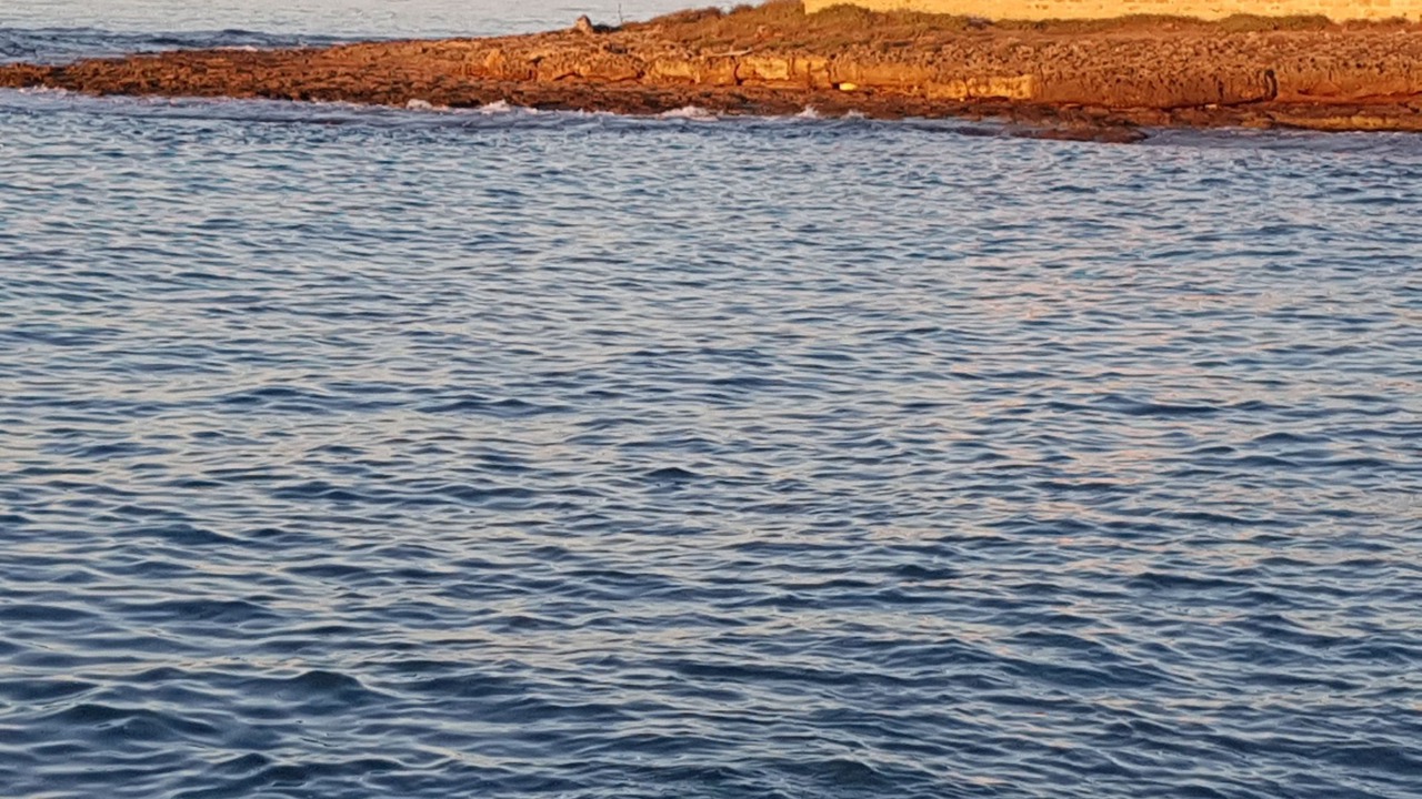 Photo of Others in Marina di Ostuni