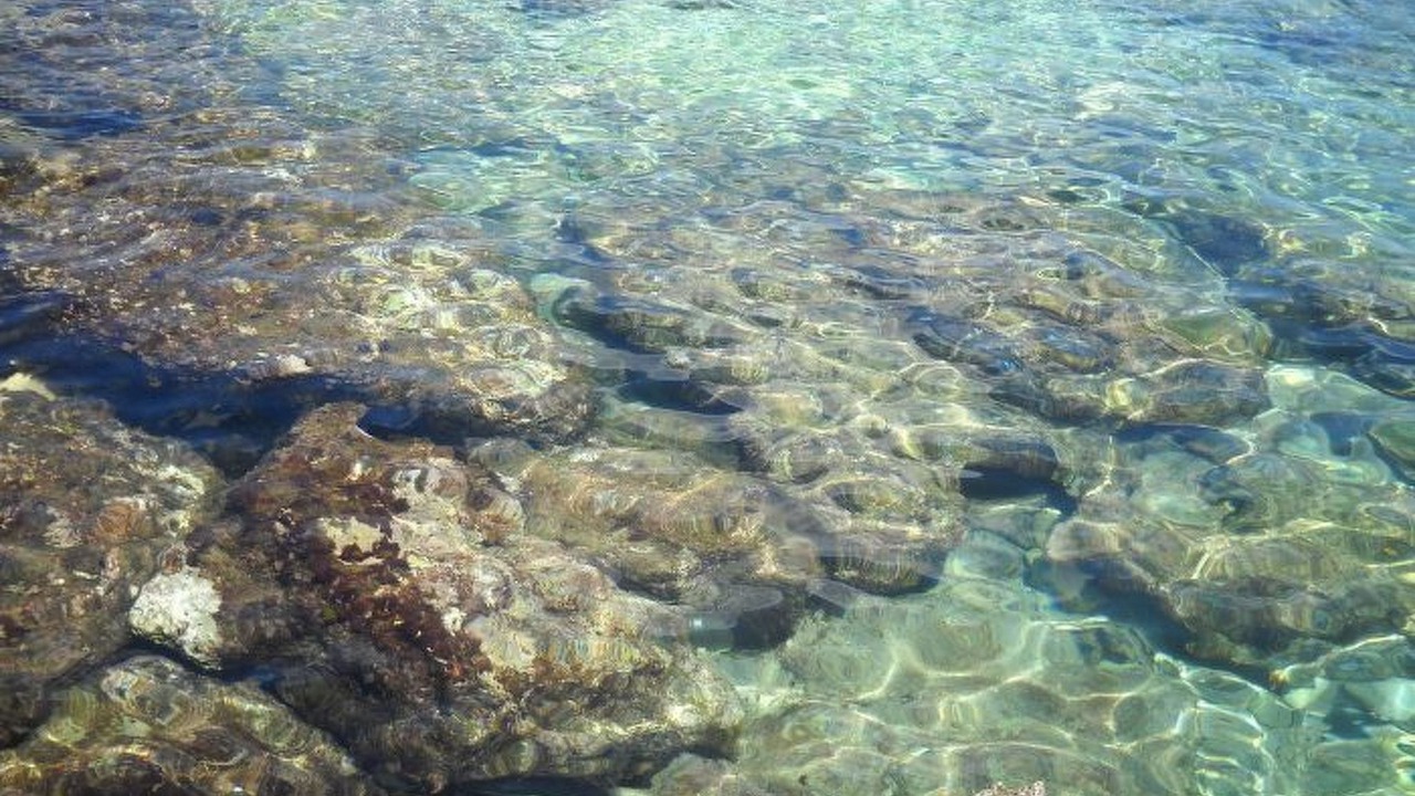 Photo of Others in Marina di Felloniche