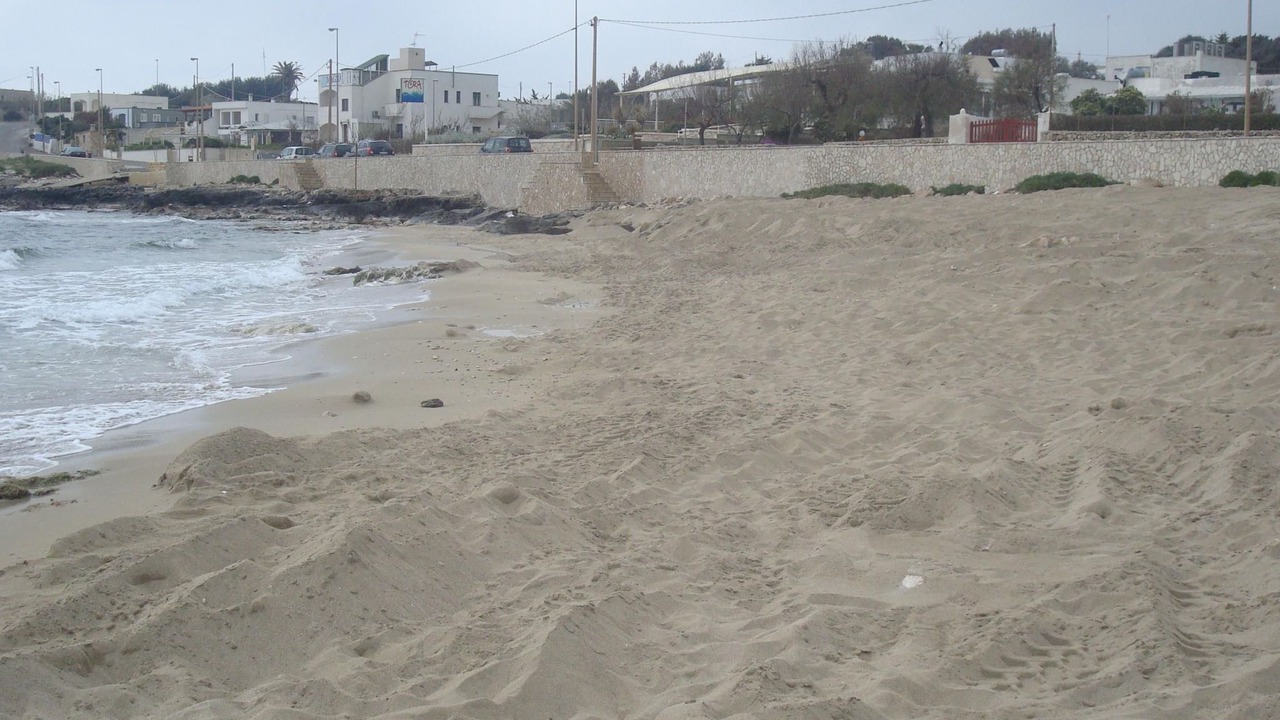 Photo of Others in Marina di Felloniche