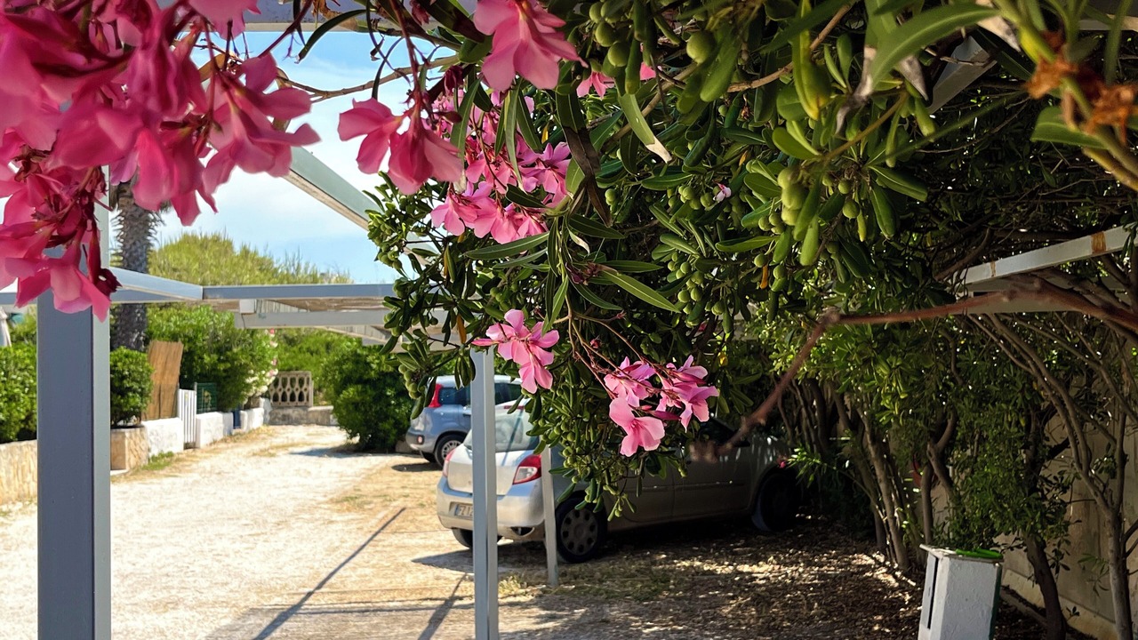 Photo of Outdoor in Villanova