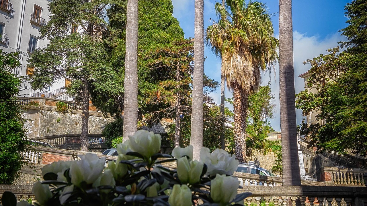 Photo of Outdoor in Belvedere Marittimo
