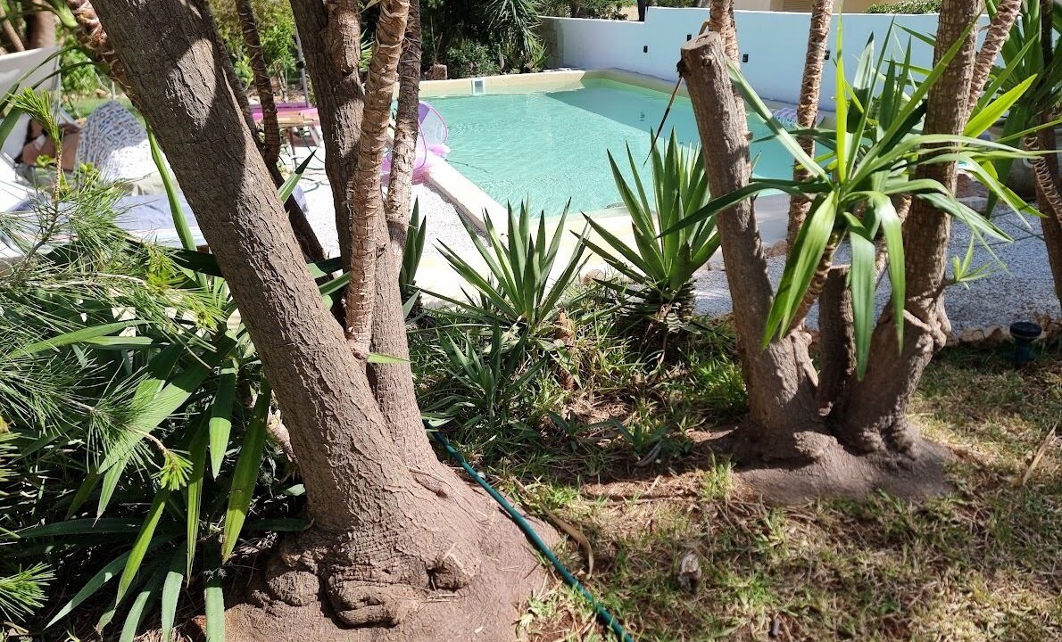 Photo of Outdoor in Lido Marini