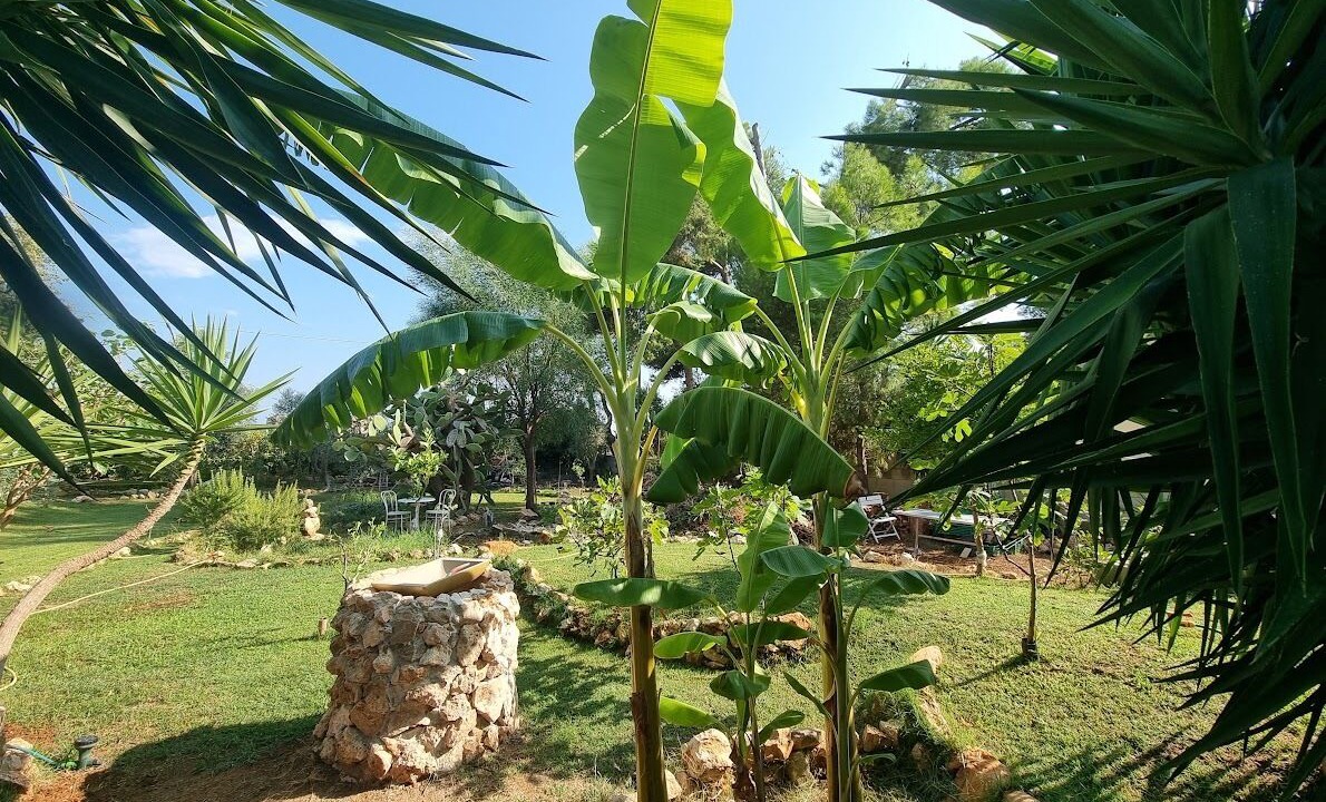 Photo of Outdoor in Lido Marini