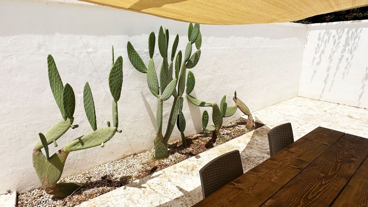 Photo of Outdoor in Torre Lapillo