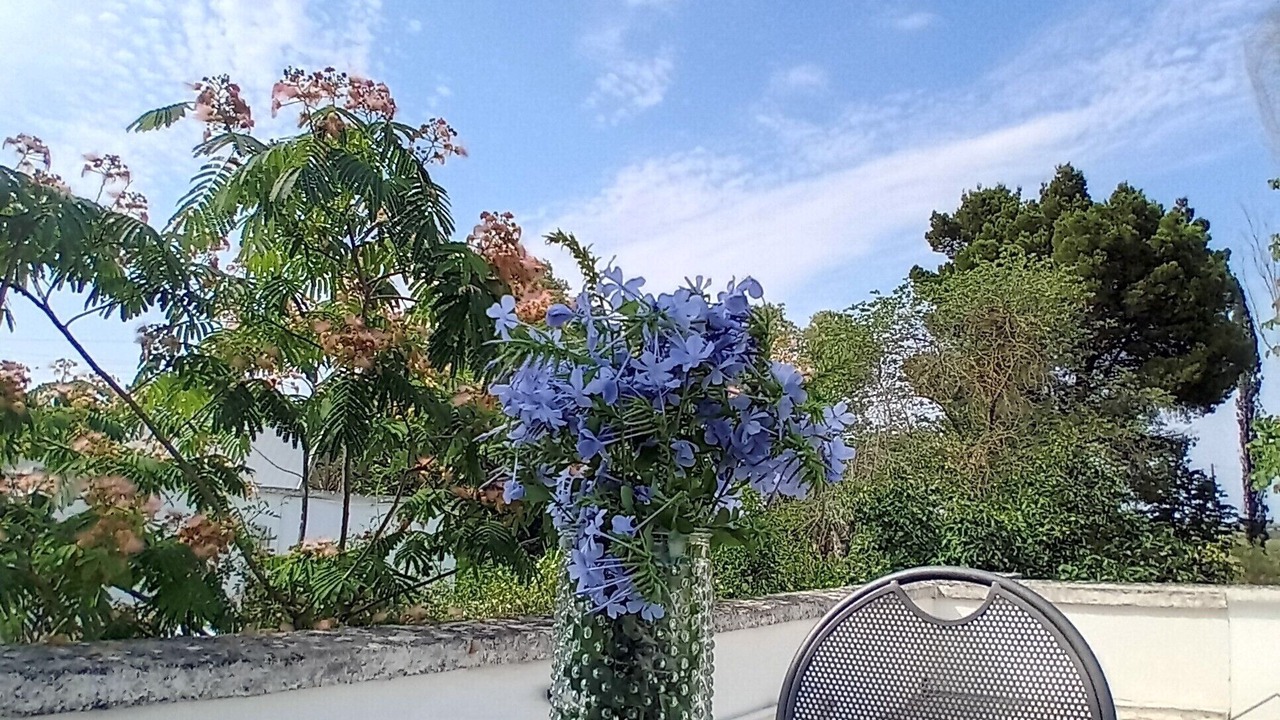 Photo of Outdoor in Lecce