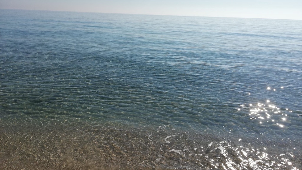 Photo of Others in Torre San Giovanni
