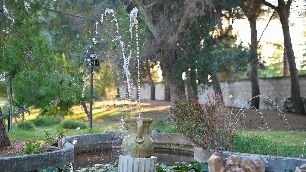 Photo of Outdoor in Carovigno