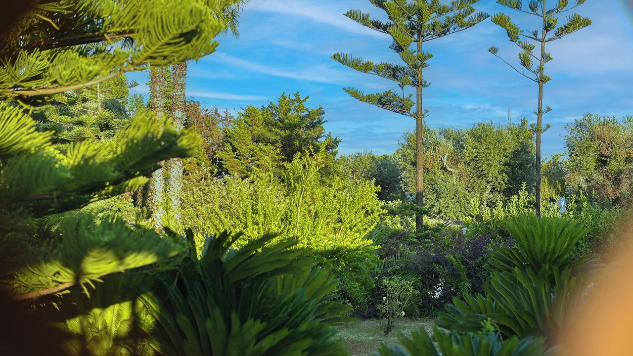 Photo of Outdoor in Carovigno