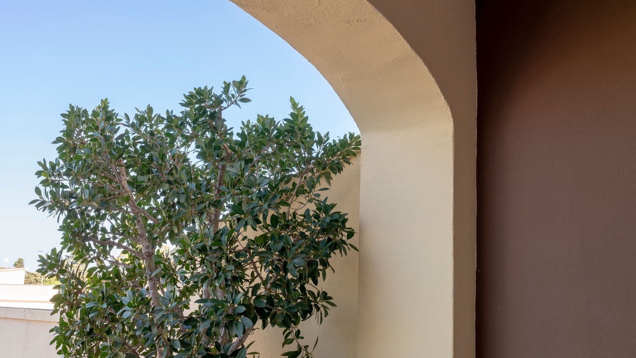 Photo of Outdoor in Giurdignano