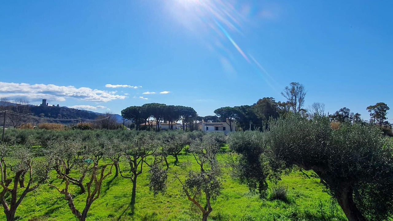 Photo of Bedroom in Casal Velino