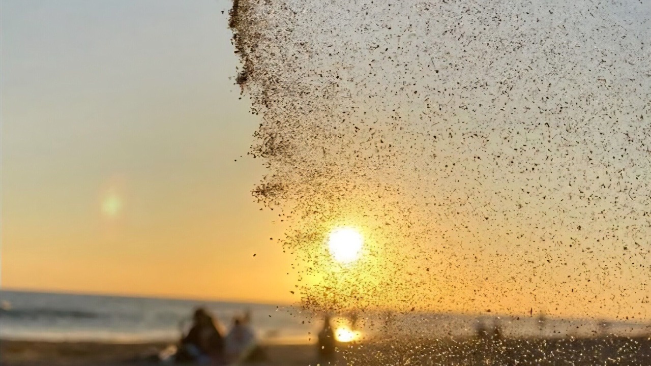 Photo of Others in Marina di Pescoluse