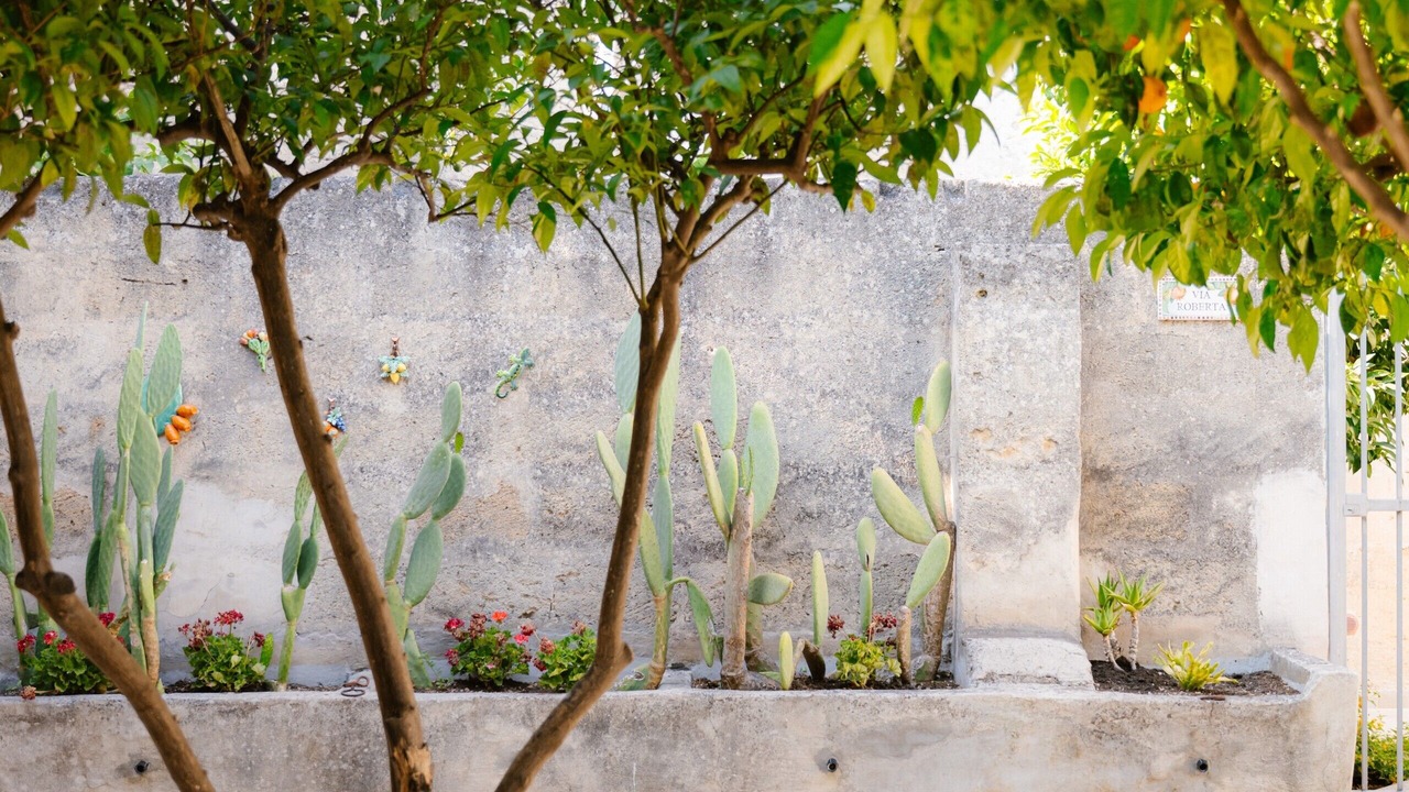 Photo of Outdoor in Francavilla Fontana