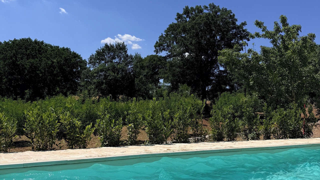 Photo of Outdoor in Locorotondo