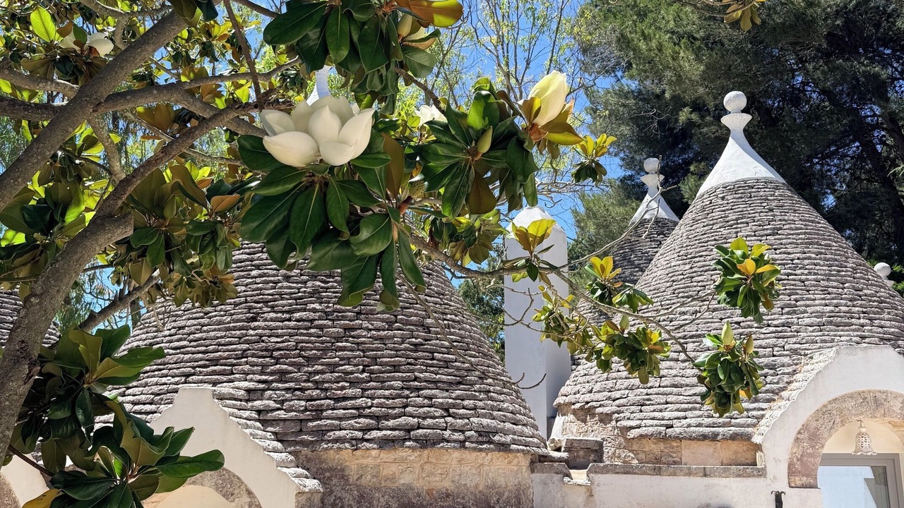Photo of Patio Balcony in Locorotondo