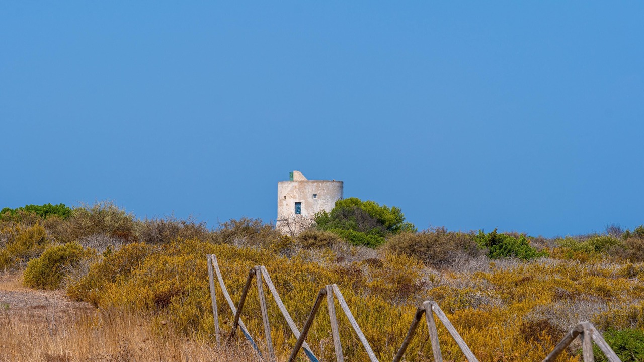 Photo of Others in Gallipoli