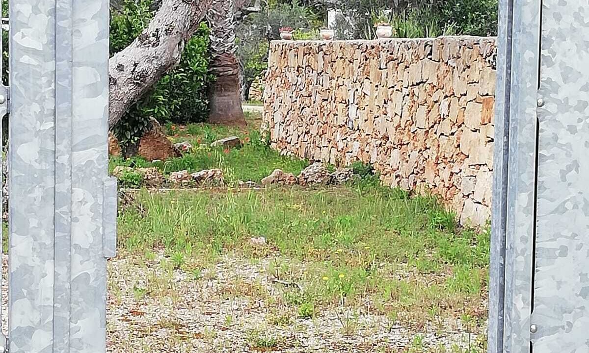 Photo of Outdoor in Baia Verde