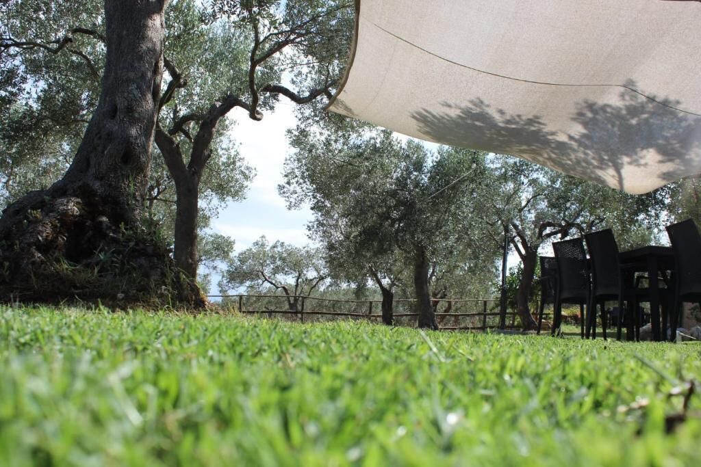 Photo of Outdoor in Campagna
