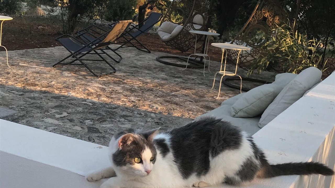 Photo of Outdoor in Marina di Pescoluse