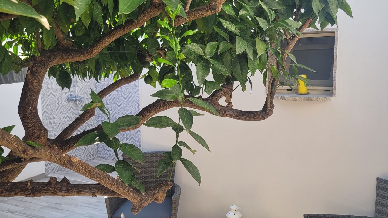 Photo of Patio Balcony in Monteroni di Lecce