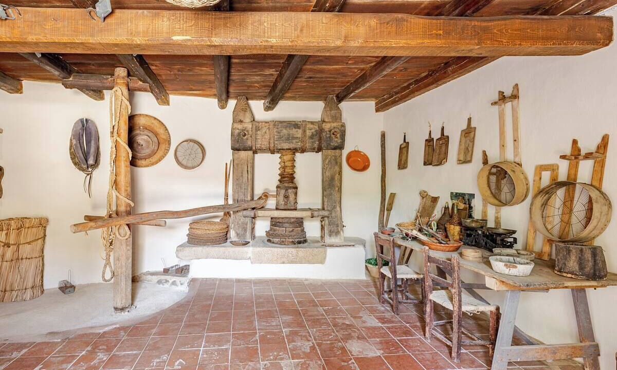 Photo of Others in Tuili