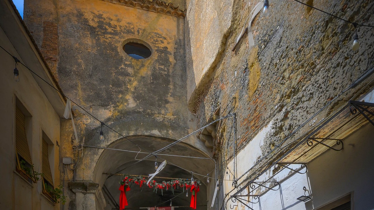 Photo of Others in Belvedere Marittimo