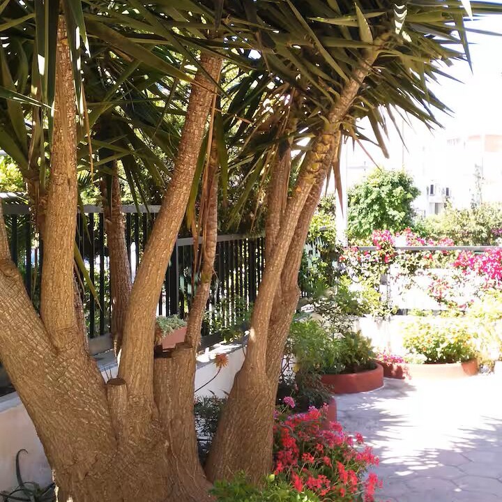 Photo of Outdoor in Il Monte