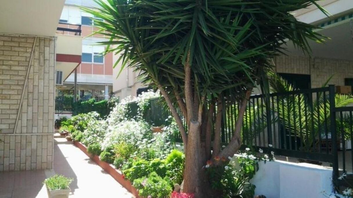 Photo of Outdoor in Il Monte