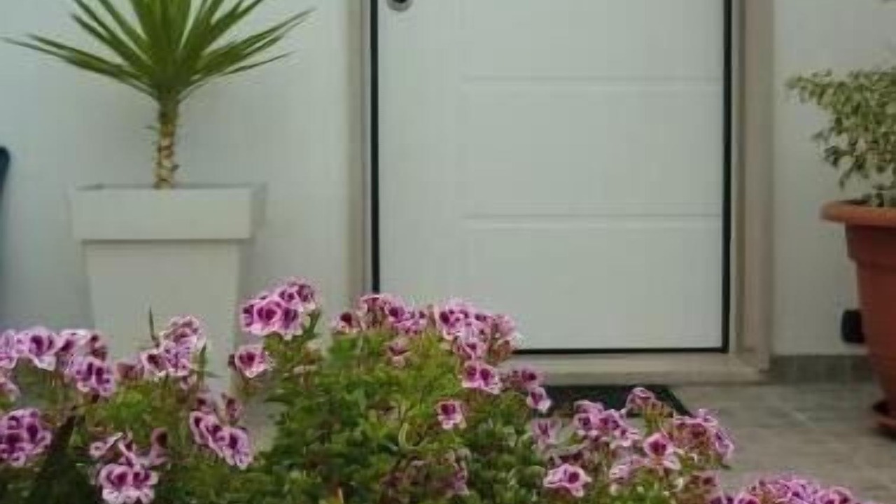 Photo of Outdoor in Leporano Marina