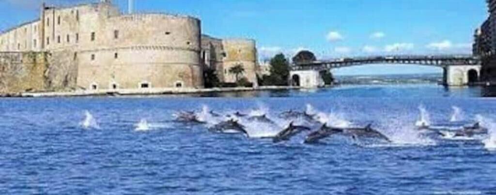 Photo of Others in Leporano Marina