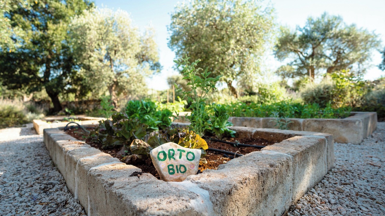 Photo of Outdoor in L'Assunta