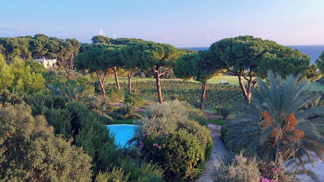 Photo of Outdoor in Taranto