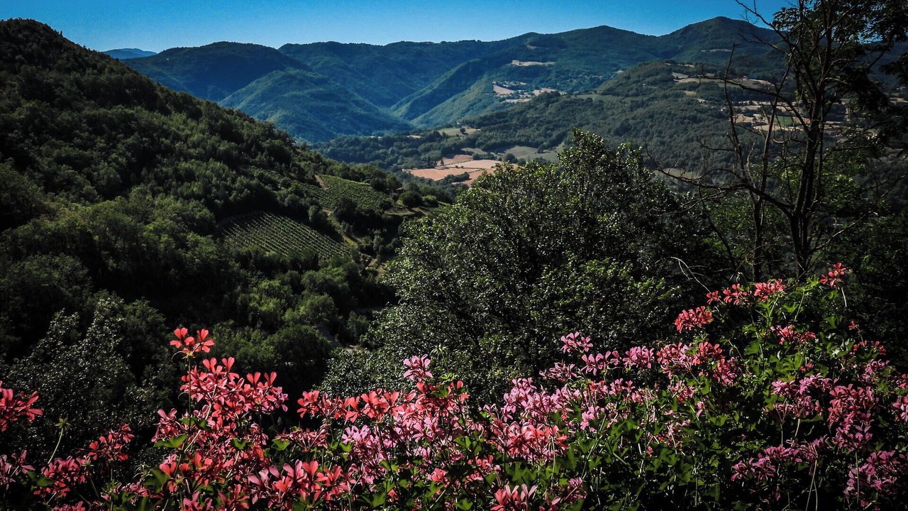 Photo of Outdoor in Roccafluvione