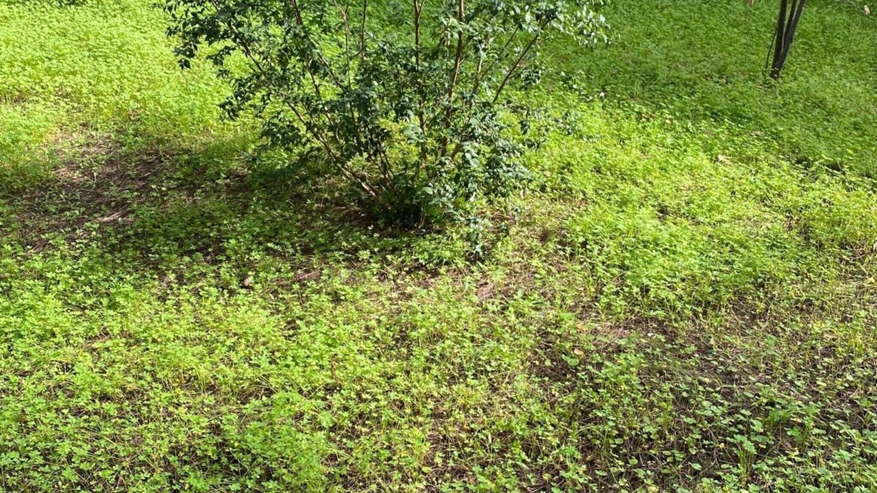 Photo of Outdoor in Scala di Furno