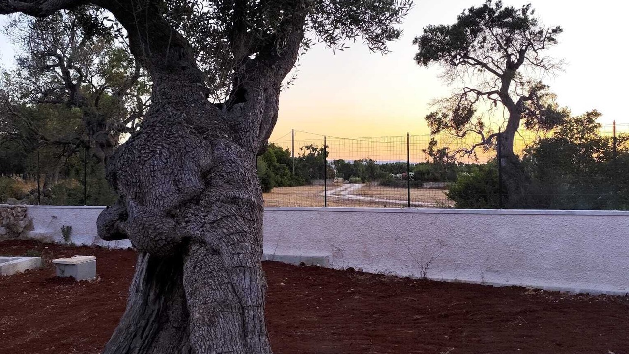 Photo of Outdoor in Rosa Marina