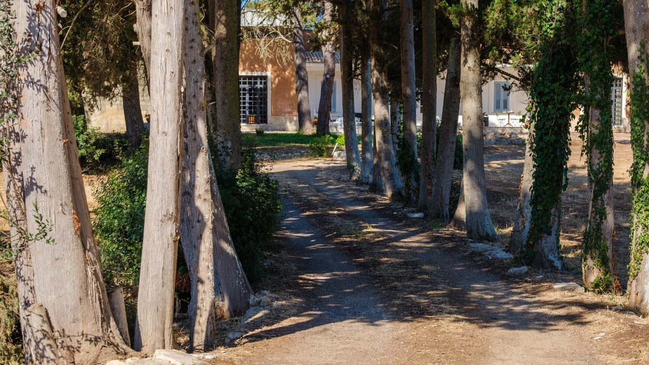 Photo of Outdoor in Monteroni di Lecce
