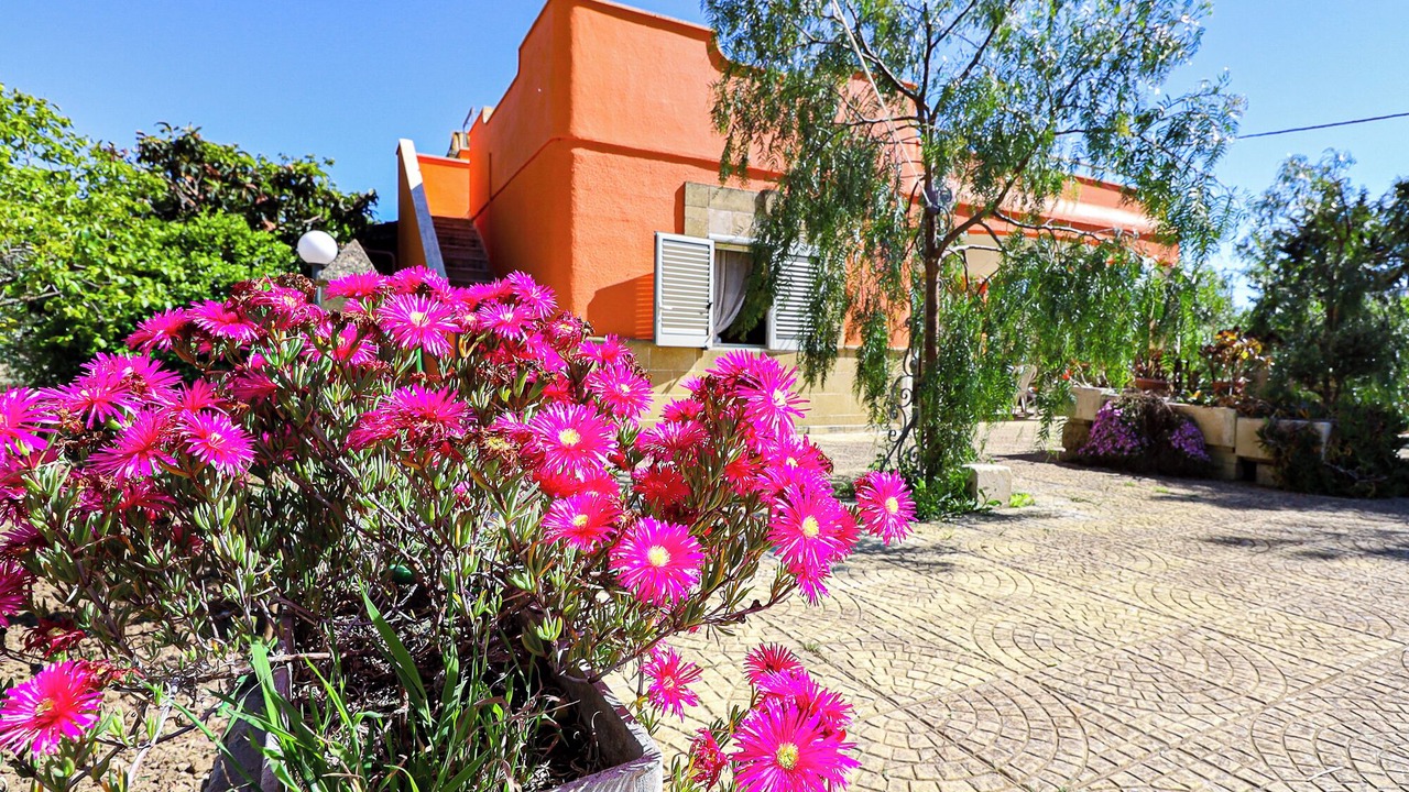 Photo of Outdoor in Matino