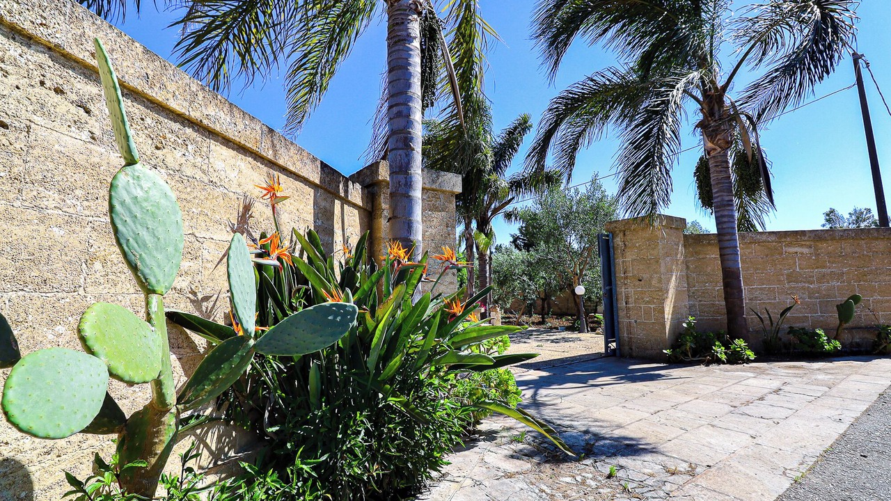 Photo of Outdoor in Matino