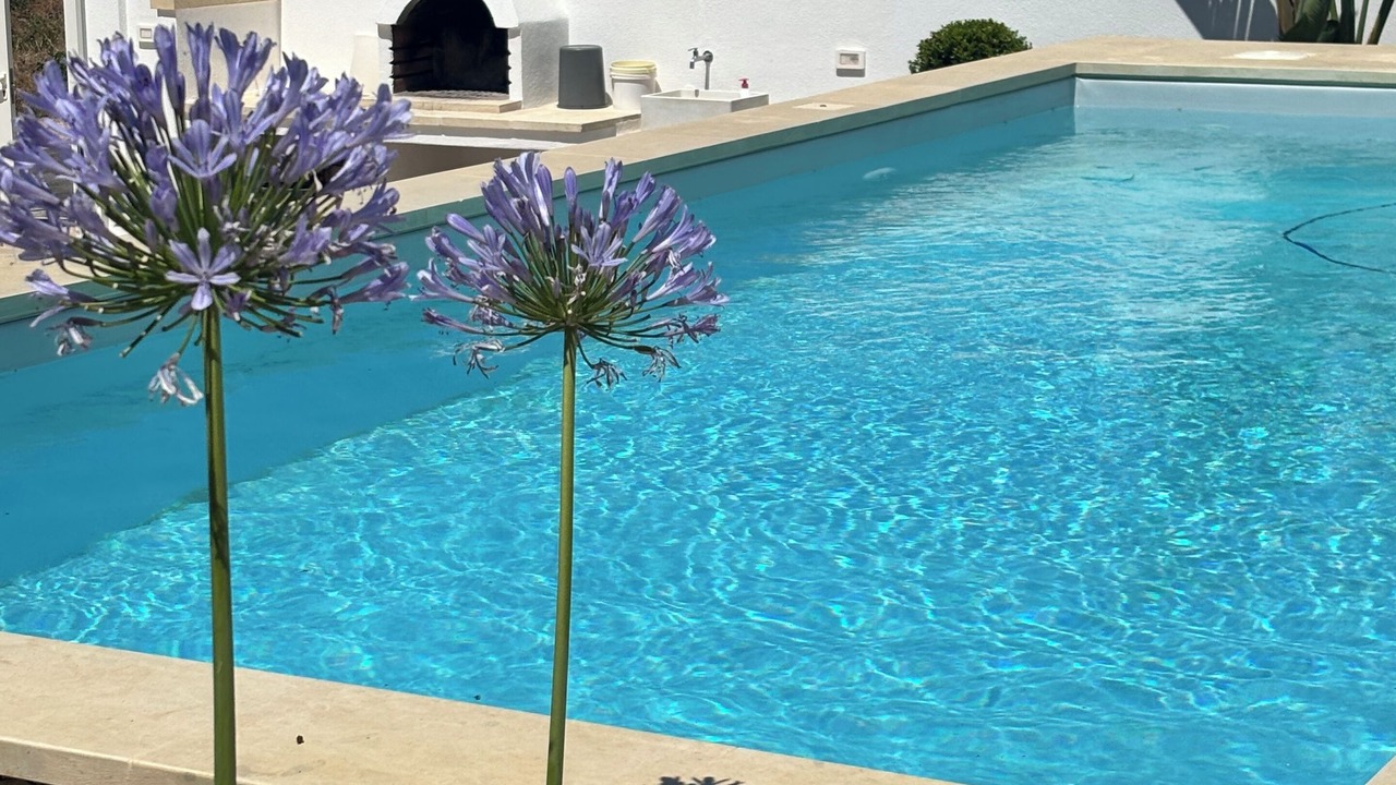 Photo of Outdoor in Torre Vado