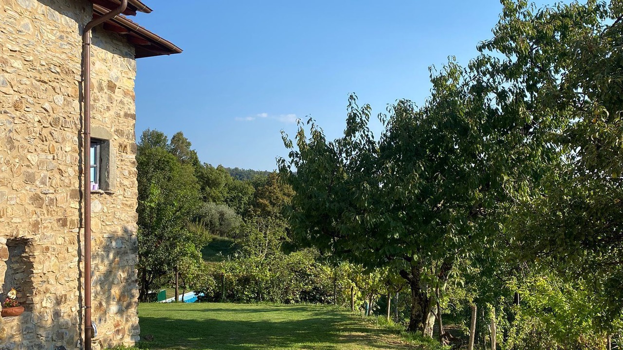 Photo of Outdoor in Bagnone