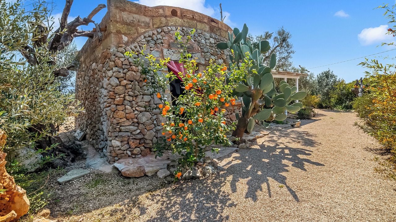Photo of Outdoor in Ugento