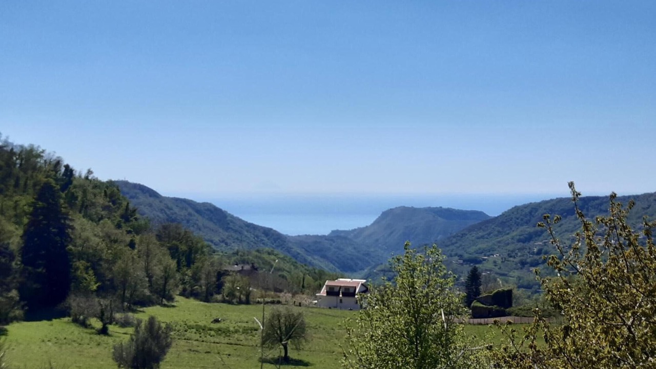 Photo of Others in Lago